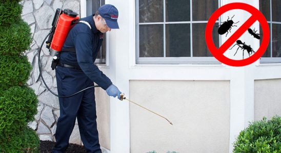 Köse Akrep İlaçlama böcek ilaçlama ve haşere kontrolü — ilaclama-tr.com